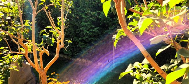 Regenbogenfäden Schutzgarten